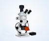 stereo fluorescence microscope