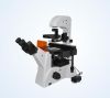 inverted fluorescence microscope