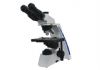 biological microscope ml31